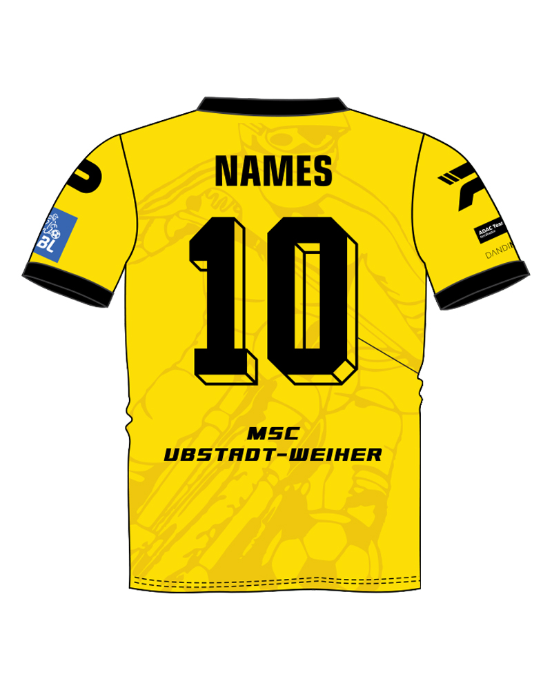 Fan Auswärtstrikot Rückseite